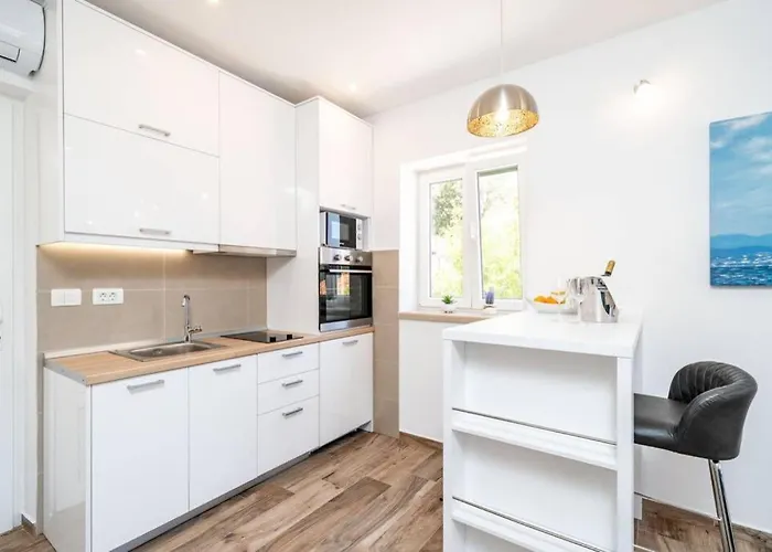 Corallium Blue * 포메나